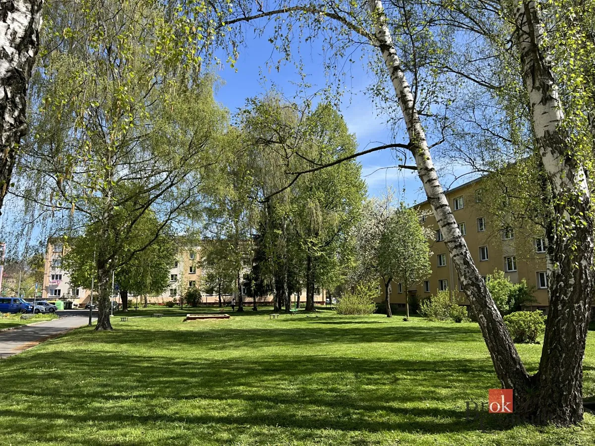 Fotka 10 z 11